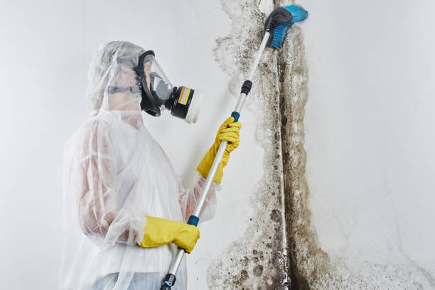Best Crawl Space Mold Removal  in Staic, CA