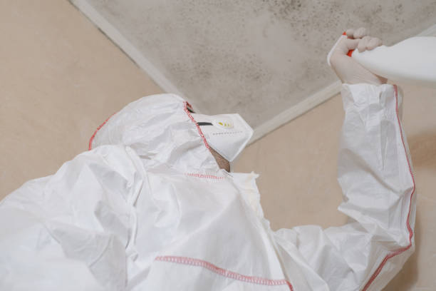Water Damage Restoration in Castaic, CA